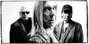 Iggy and the Stooges ~ photo by David Raccuglia