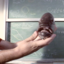 Rarely Seen Nirvana In Utero Teaser Unearthed