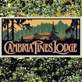 Todd Rundgren’s Mythic Pacific Retreat August 18-22 at Cambria Pines Lodge on California’s Central Coast