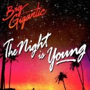 Big Gigantic Party with Cherub for Their New “The Night Is Young” Video