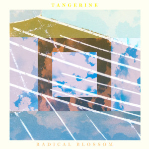 Tangerine Radical Blossom