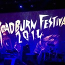 Roadburn 2014: Music & Metal Mecca