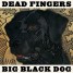 Dead Fingers Release Big Black Dog on PIPEANDGUN/Communicating Vessels