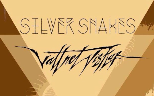 VV Silver snakes