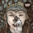 FlashSounds:  Earthship