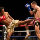 A Little Taste of Big Action: Preview FlashWounds’ Coverage of Lion Fight 19 Muay Thai