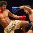 Lion Fight 19: Results & Pics