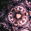 ZOAX Premieres New Video “Lonely Souls” via Kerrang!